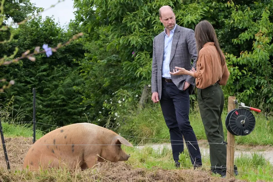 William wished England luck. England won 4-2. Correlation remains unconfirmed William wished England luck. England won 4-2. Correlation remains unconfirmed