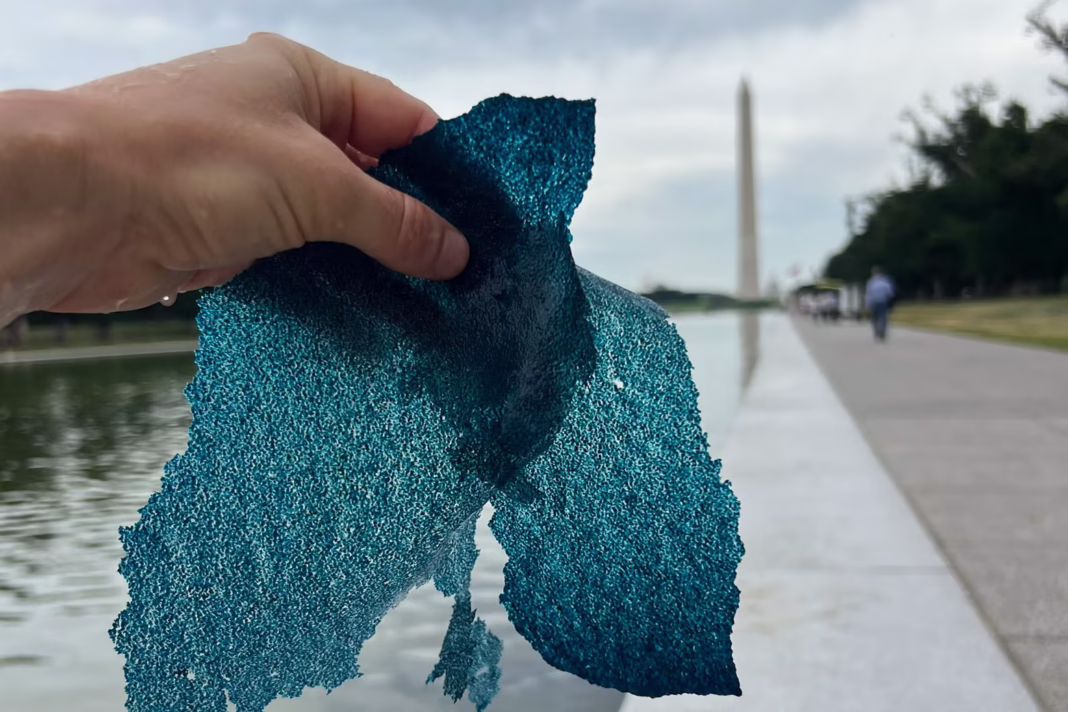 Trump allies tout a perfect storm. The algae remains Trump allies tout a perfect storm. The algae remains