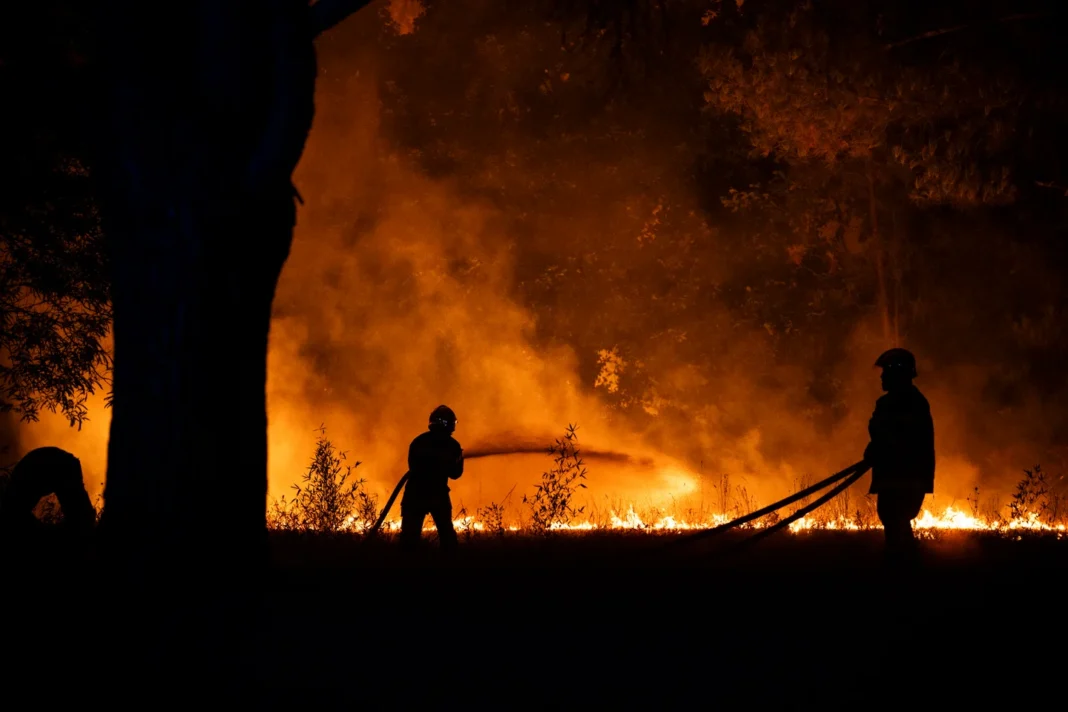 France evacuated the entire Cap Ferret peninsula. It’s peak summer. The fires didn’t check the calendar France evacuated the entire Cap Ferret peninsula. It’s peak summer. The fires didn’t check the calendar