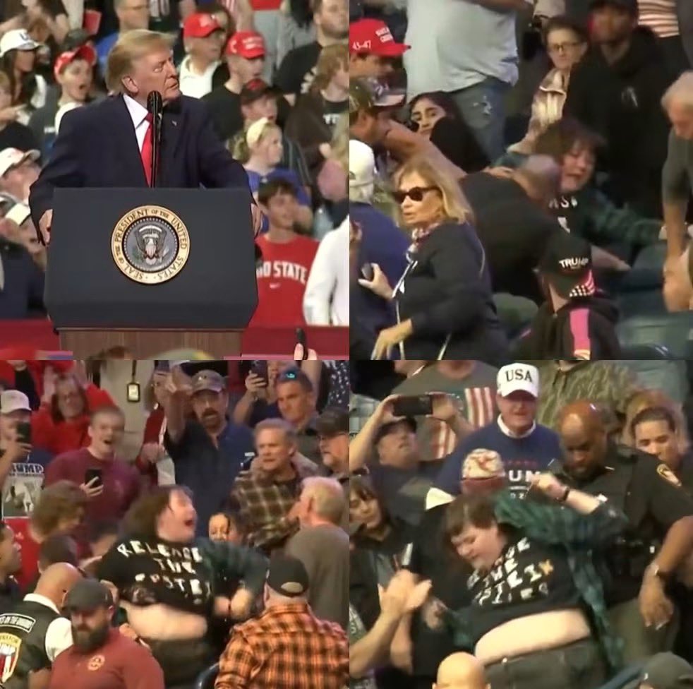 Epstein Protester Punched — Then Mocked By Trump Epstein Protester Punched — Then Mocked By Trump