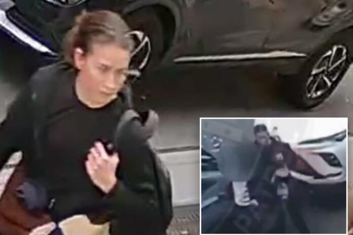 Syringe Attacker Woman Charged in Bizarre Syringe Attack on Rabbi | BuzzyTimes