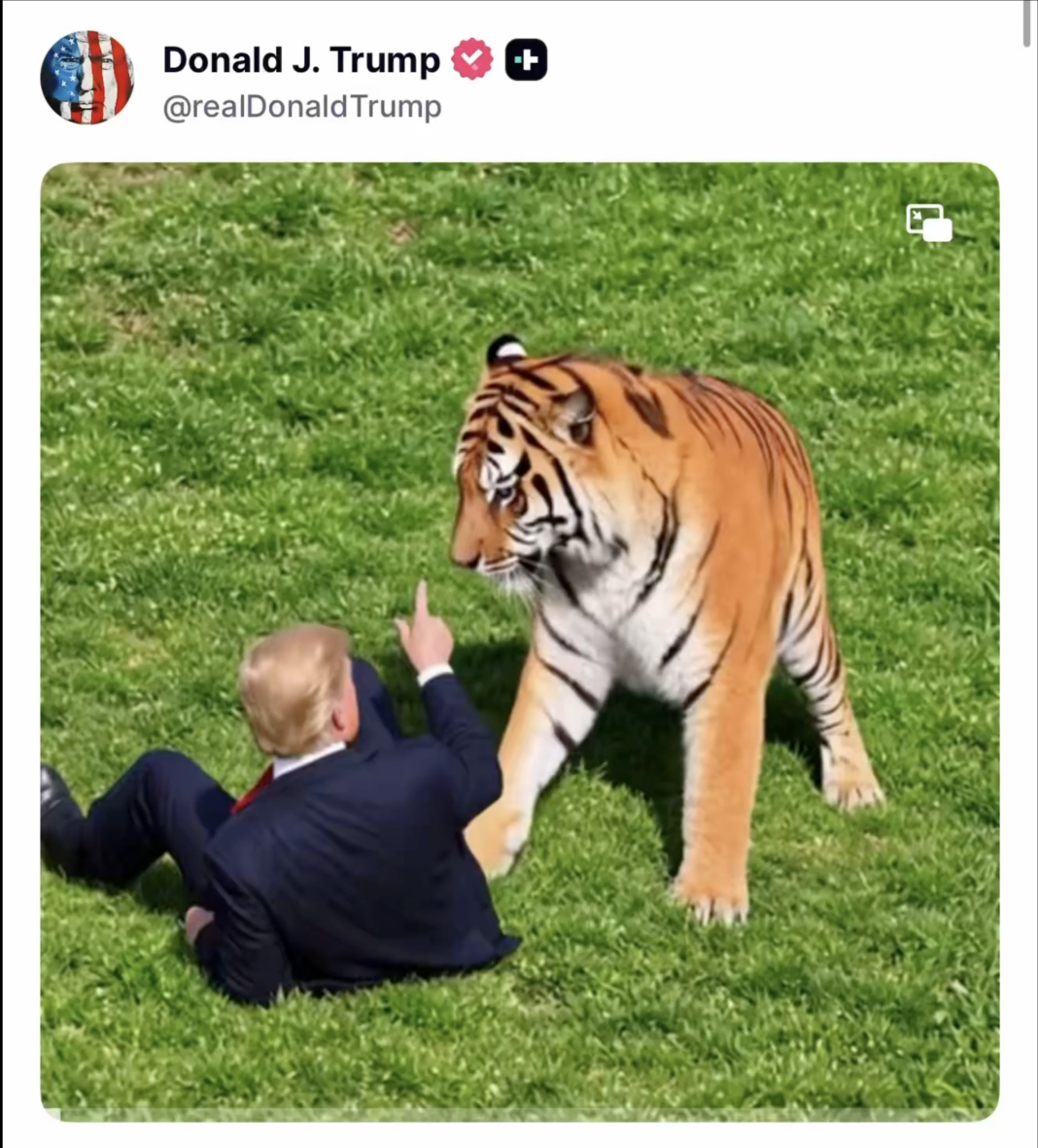 Trump Shares Fatal Tiger Attack — Then Posts AI Tiger Fight Trump Shares Fatal Tiger Attack — Then Posts AI Tiger Fight